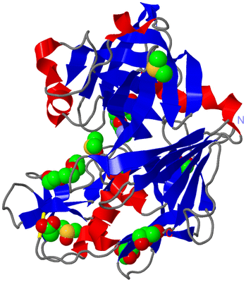 Image Asym./Biol. Unit