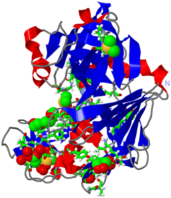 Image Asym./Biol. Unit - sites