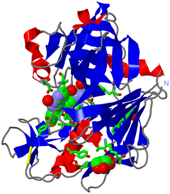 Image Asym./Biol. Unit - sites