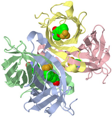 Image Asym./Biol. Unit