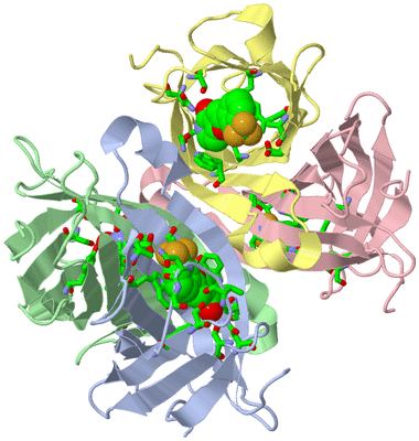 Image Asym./Biol. Unit - sites