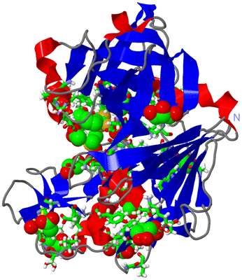 Image Asym./Biol. Unit - sites