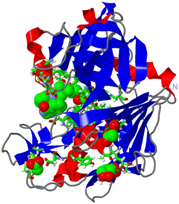 Image Asym./Biol. Unit - sites