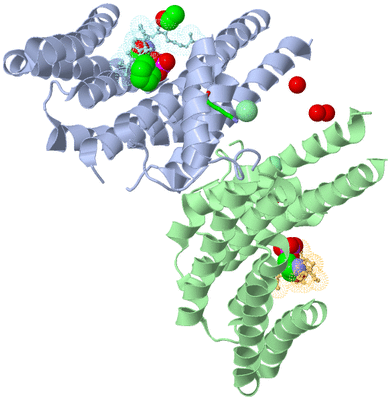 Image Asym./Biol. Unit - sites