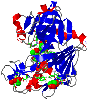 Image Asym./Biol. Unit - sites