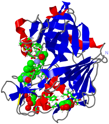 Image Asym./Biol. Unit - sites