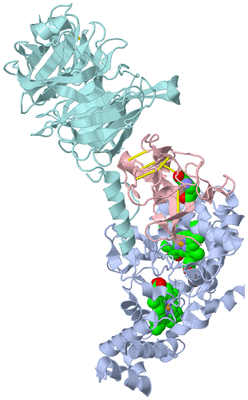 Image Biological Unit 1