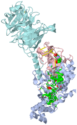 Image Biol. Unit 1 - sites