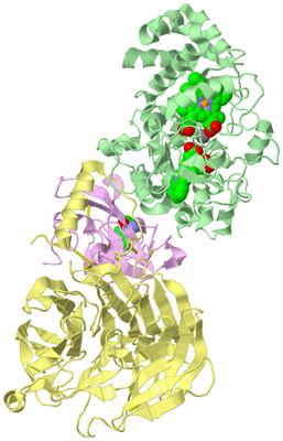 Image Biological Unit 2