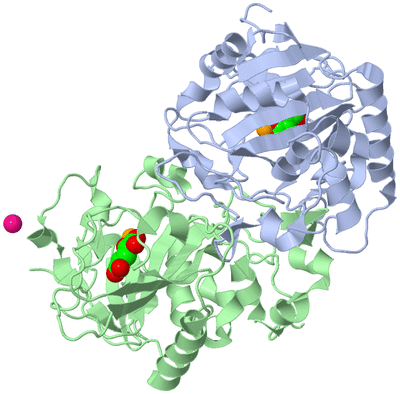 Image Asym./Biol. Unit