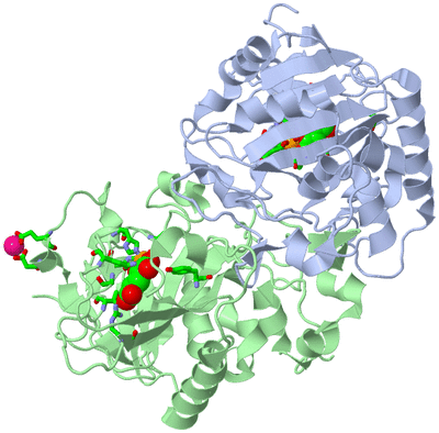 Image Asym./Biol. Unit - sites