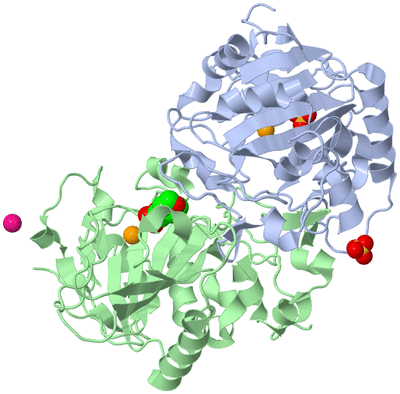 Image Asym./Biol. Unit