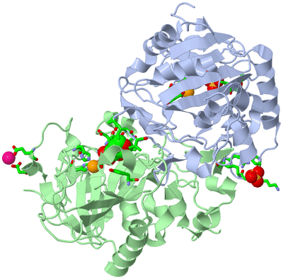 Image Asym./Biol. Unit - sites