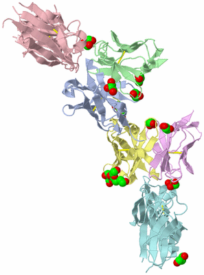 Image Biological Unit 1