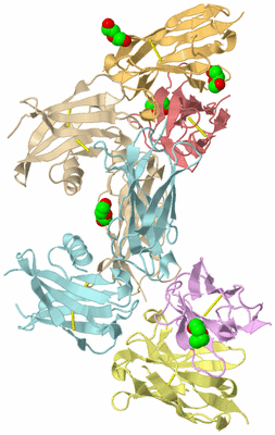 Image Biological Unit 2