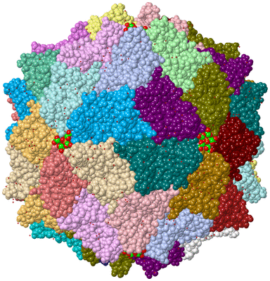 Image Asym./Biol. Unit - sites