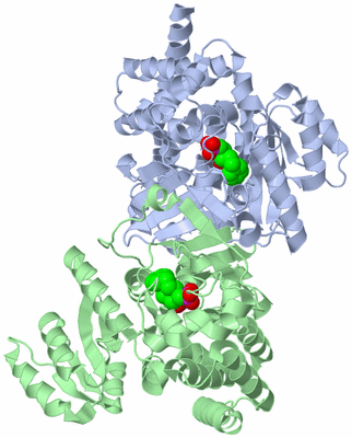 Image Asym./Biol. Unit