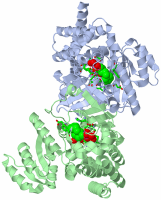 Image Asym./Biol. Unit - sites