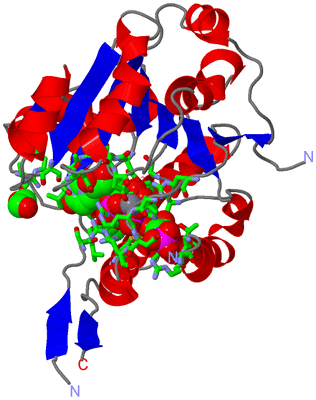 Image Asym. Unit - sites