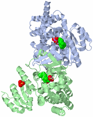 Image Asym./Biol. Unit