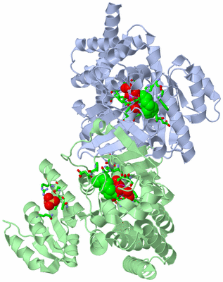 Image Asym./Biol. Unit - sites