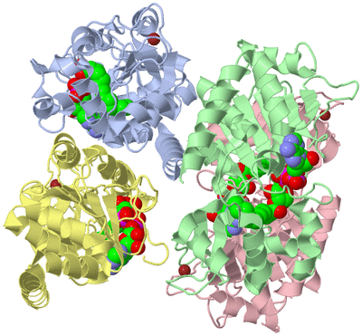 Image Asym./Biol. Unit