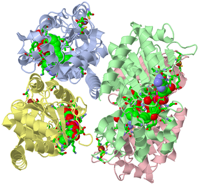 Image Asym./Biol. Unit - sites