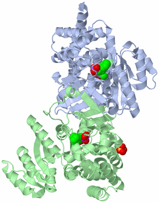 Image Asym./Biol. Unit