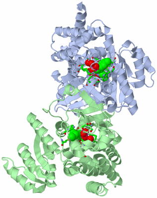 Image Asym./Biol. Unit - sites