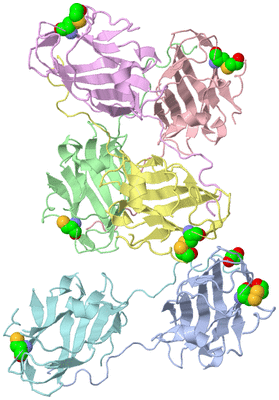 Image Asymmetric Unit