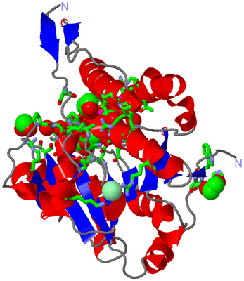 Image Asym. Unit - sites