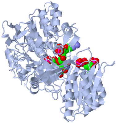 Image Biological Unit 1