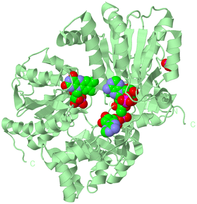 Image Biological Unit 2