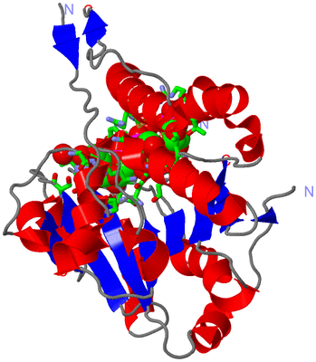 Image Asym. Unit - sites