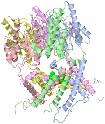 Image Asym./Biol. Unit - sites