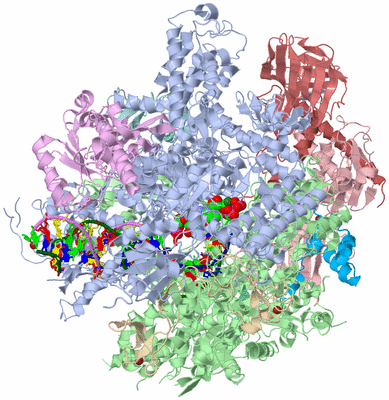 Image Asym./Biol. Unit