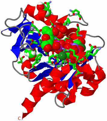 Image Asym./Biol. Unit - sites