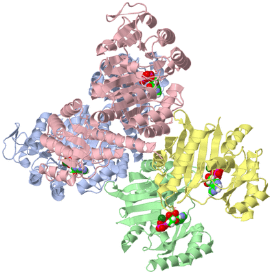 Image Asym./Biol. Unit