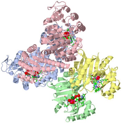 Image Asym./Biol. Unit - sites