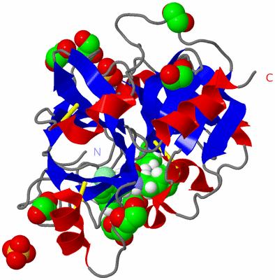 Image Asym./Biol. Unit