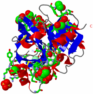 Image Asym./Biol. Unit - sites