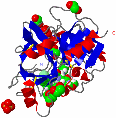 Image Asym./Biol. Unit