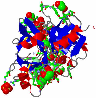 Image Asym./Biol. Unit - sites