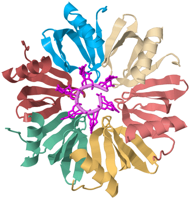 Image Biological Unit 2