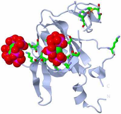 Image Biol. Unit 1 - sites