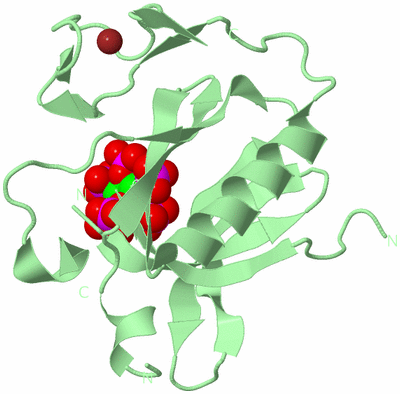 Image Biological Unit 2