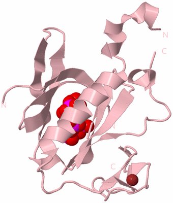 Image Biological Unit 3