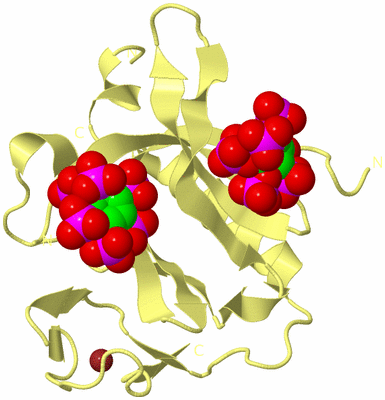 Image Biological Unit 4