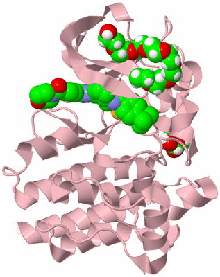 Image Biological Unit 3