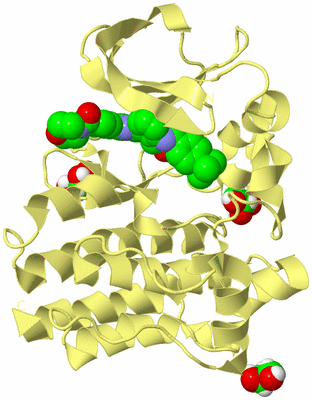 Image Biological Unit 4